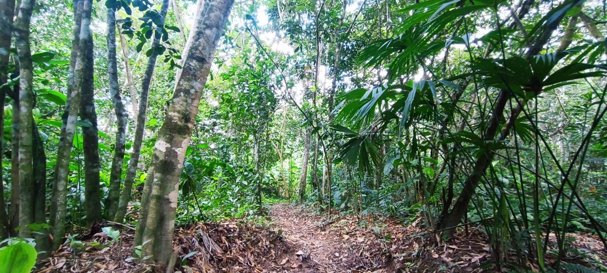 Hotel Ecologico Makalombia Ла-Макарена Экстерьер фото