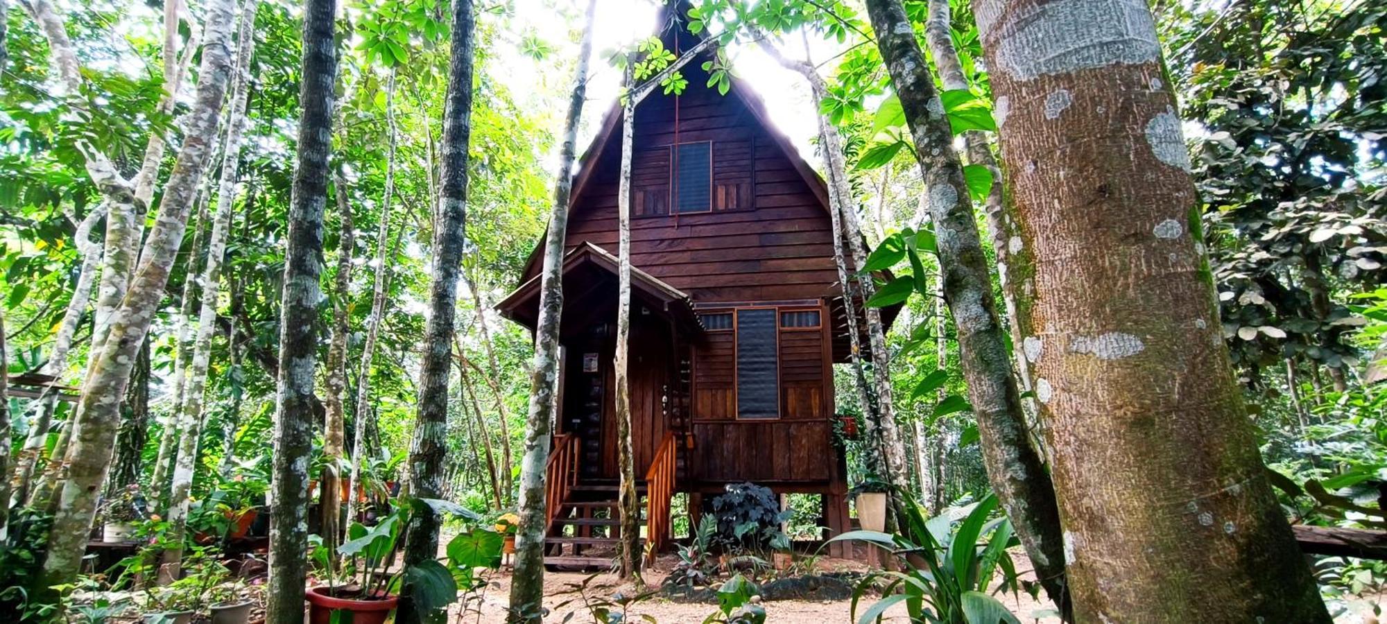 Hotel Ecologico Makalombia Ла-Макарена Экстерьер фото